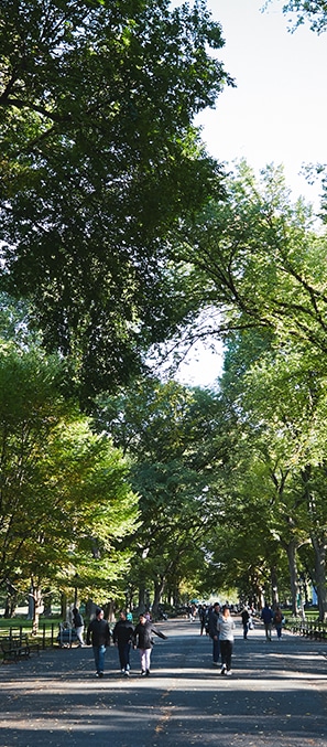 People walking a sidewalk of Central Park under big green trees
