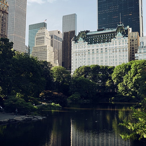 The stunning views of Central Park, New York, in the summertime